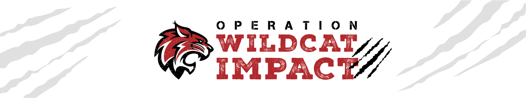 Operation Wildcat Impact